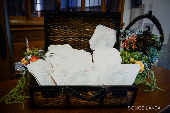 soncelanda-chicago-botanic-garden-3