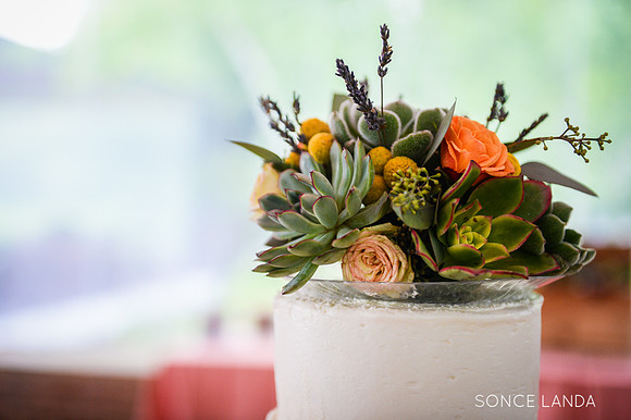 soncelanda-chicago-botanic-garden-39