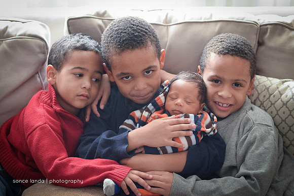 Hahn_112914-42