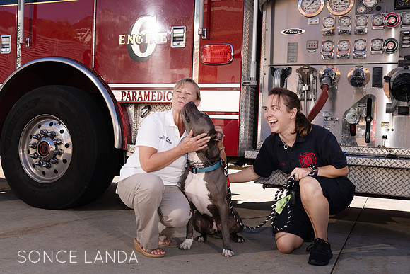 Rescue dog gives happy kisses at Fire Station Glenview
