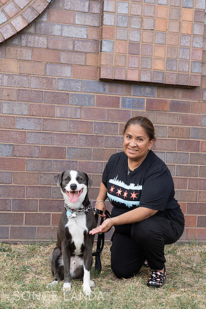 Help to rescue a dog