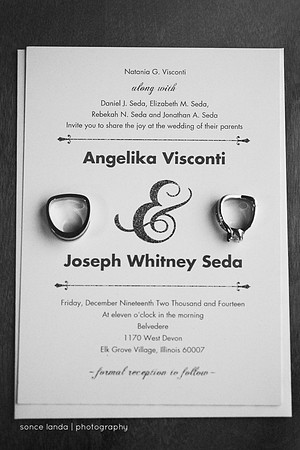 sonce_landa_weddings-001